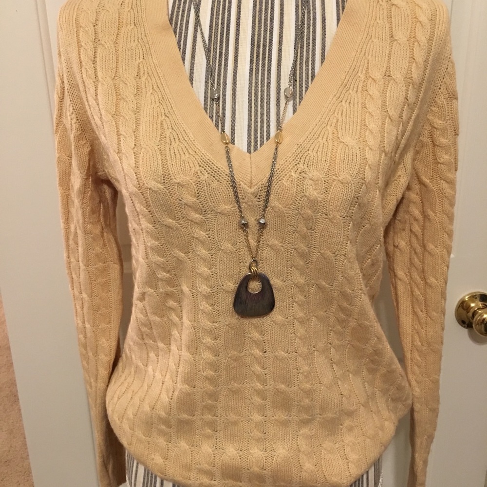 NWT V-neck Sweater
